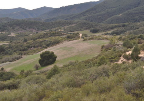 Scholinc Ranch – Land for Sale Monterey County, CA