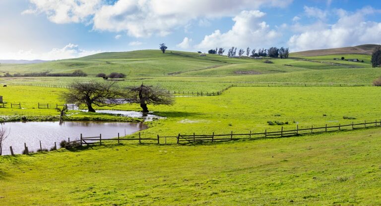 agricultural land