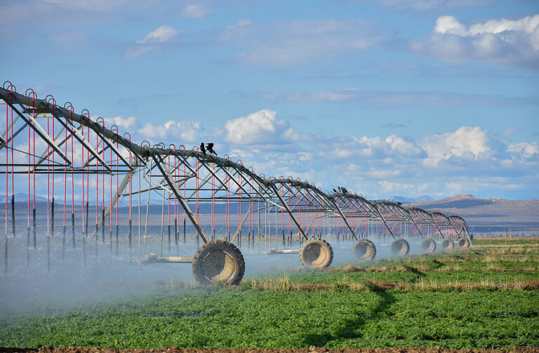 water source watering agriculture farm land