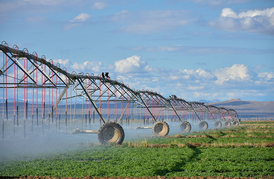 The Importance Of Water When Purchasing Farmland