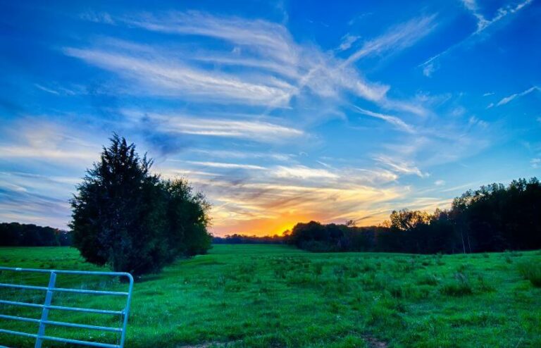 Buying Land In California