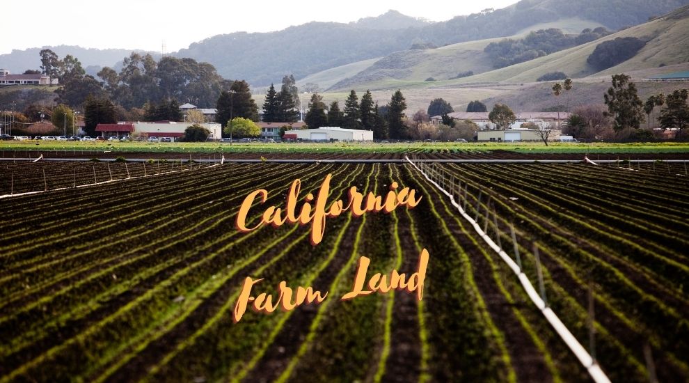 California Agriculture Farm Land