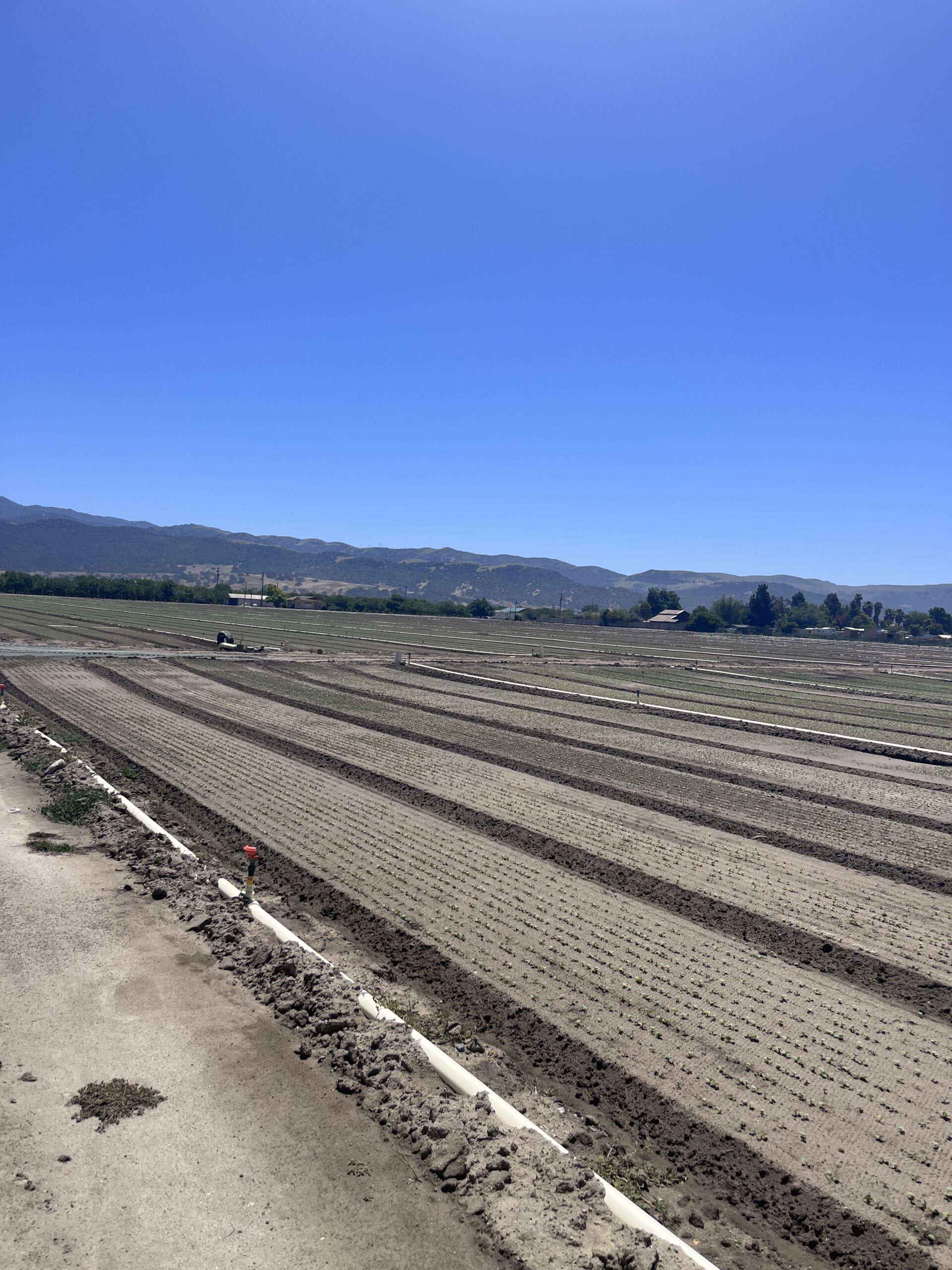 Bixby Farm – Farm Land in San Juan Bautista CA – San Benito County