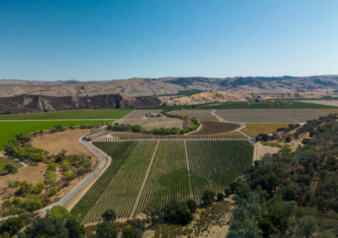 Cienega Road – Central Coast Vineyard Paicines, CA