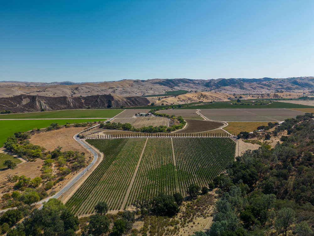 Cienega Road – Central Coast Vineyard Paicines, CA