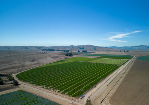 Prime Farm Land for Sale – Hollister, California