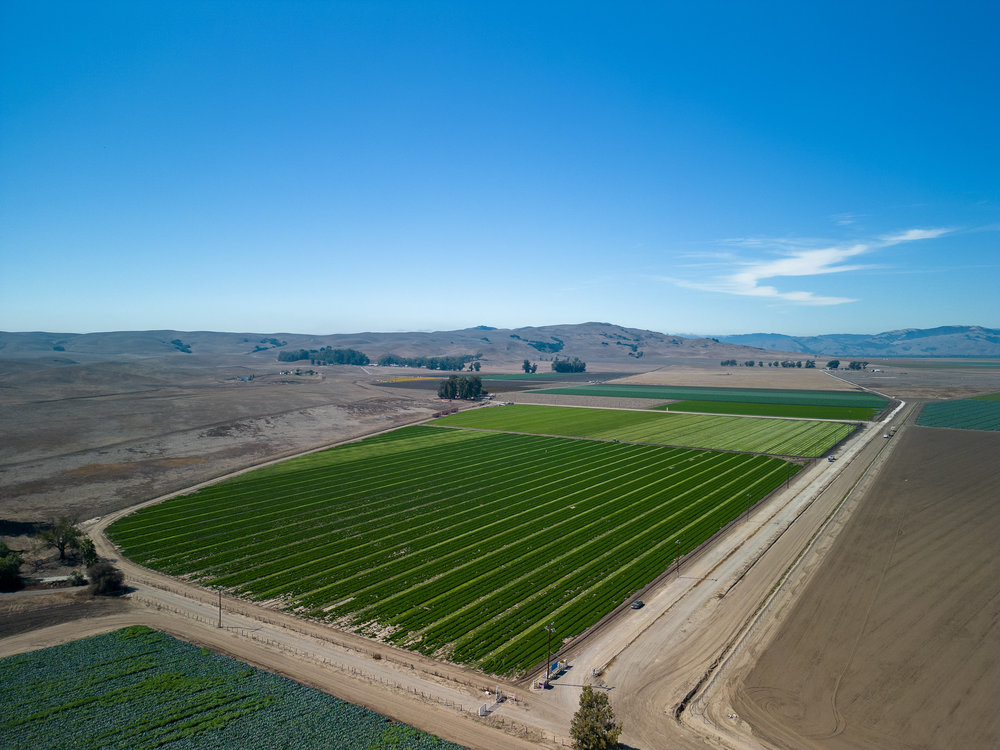 Prime Farm Land for Sale – Hollister, California