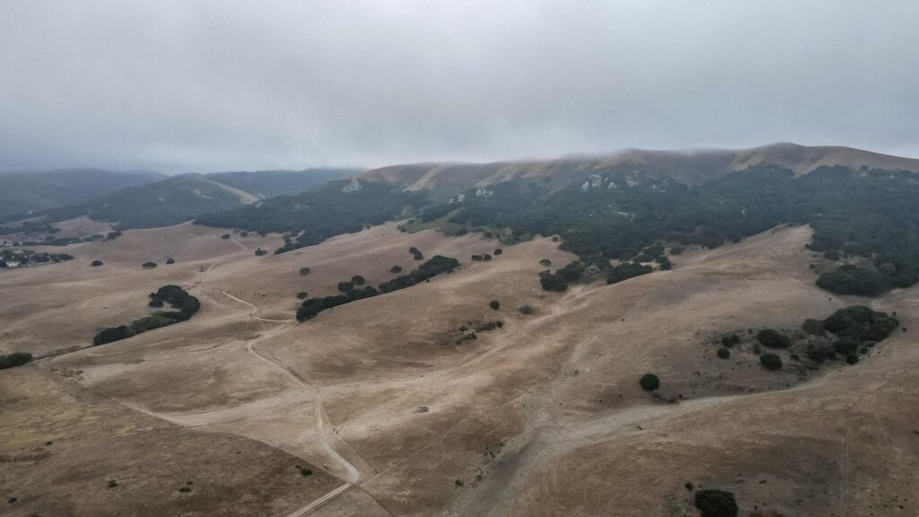 Cattle Ranch in California