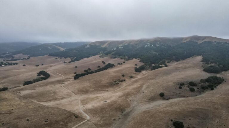 Cattle Ranch in California