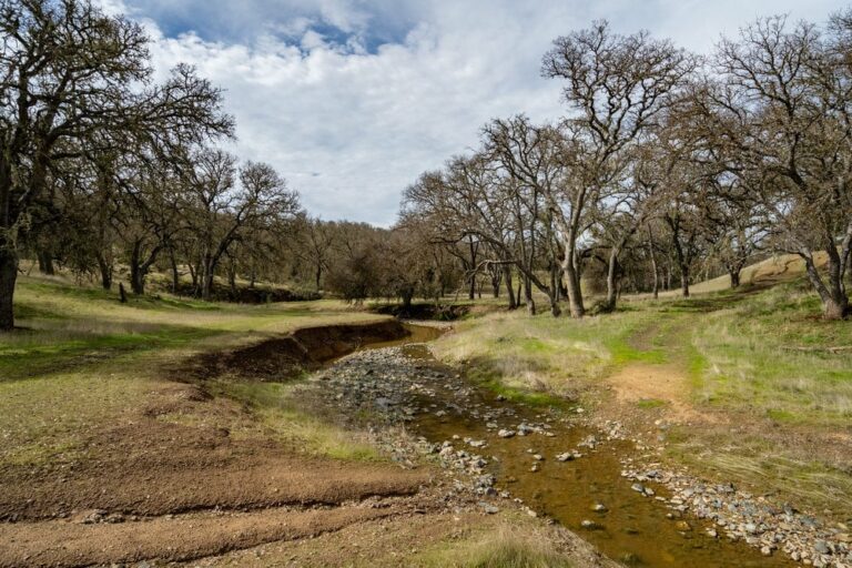 A Complete Guide to Buying Ranches or Farms for Sale in San Benito County