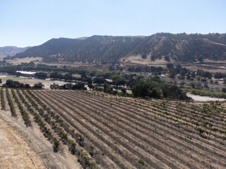 aerial image of vineyard for sale in san benito county