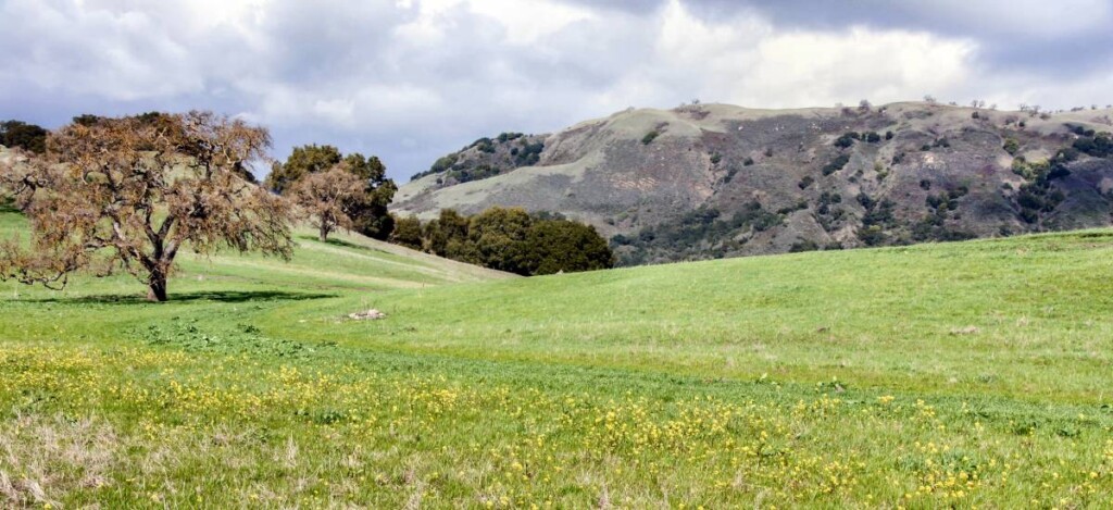 A view of Harvey Bear Trail in San Martin as an example of San Martin Real Estate