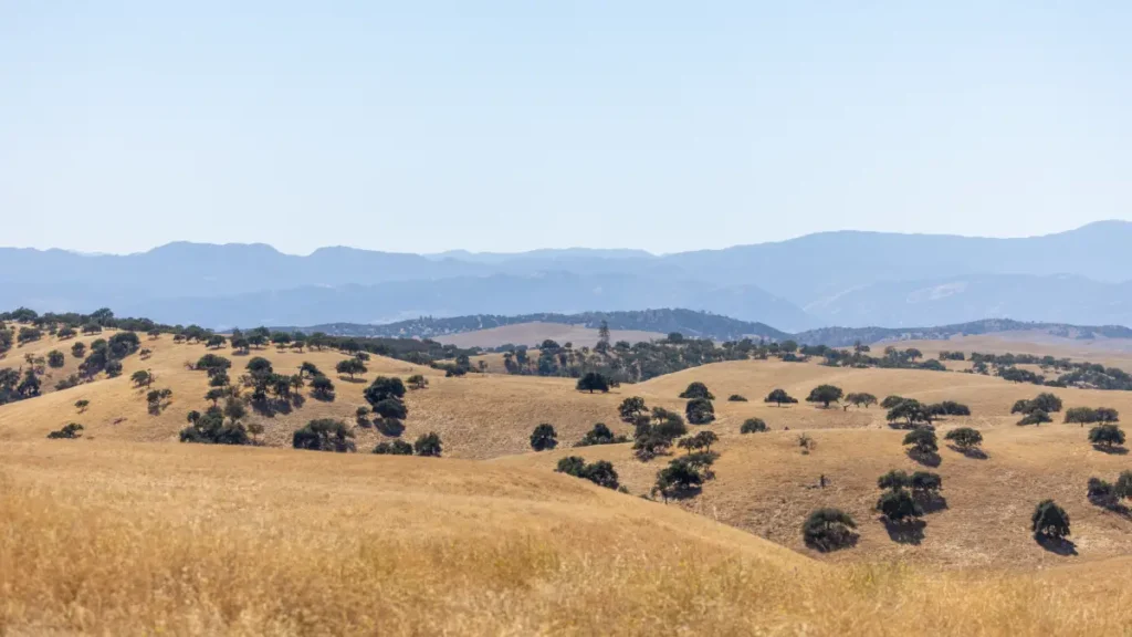 A view of cattle ranches and rolling foothills near Tres Pinos representing Tres Pinos real estate